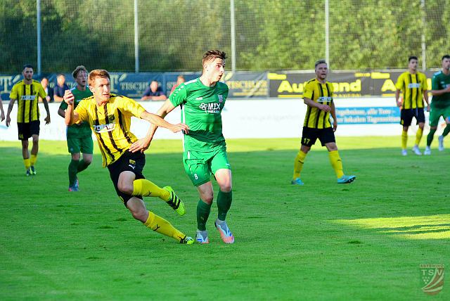 DJK Vilzing - TSV Abtswind 3 : 0 ( 2 : 0 | 28.07.2021