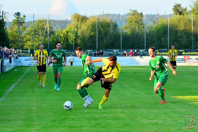 DJK Vilzing - TSV Abtswind 3 : 0 ( 2 : 0 | 28.07.2021
