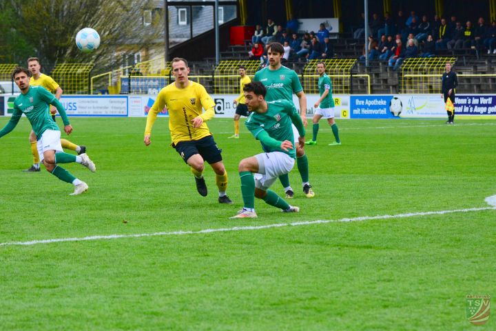 SpVgg Bayern Hof - TSV Abtswind 2:0 (0:0) |19.04.2025