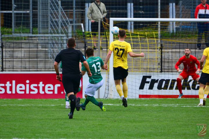SpVgg Bayern Hof - TSV Abtswind 2:0 (0:0) |19.04.2025