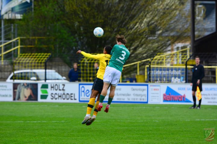 SpVgg Bayern Hof - TSV Abtswind 2:0 (0:0) |19.04.2025
