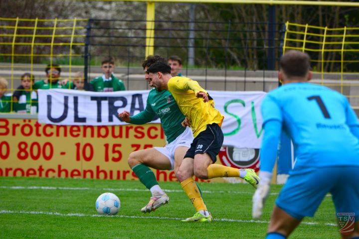 SpVgg Bayern Hof - TSV Abtswind 2:0 (0:0) |19.04.2025