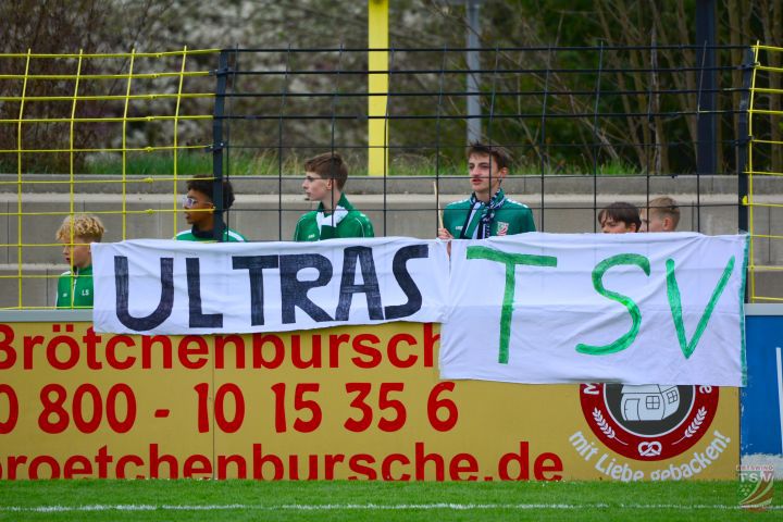SpVgg Bayern Hof - TSV Abtswind 2:0 (0:0) |19.04.2025