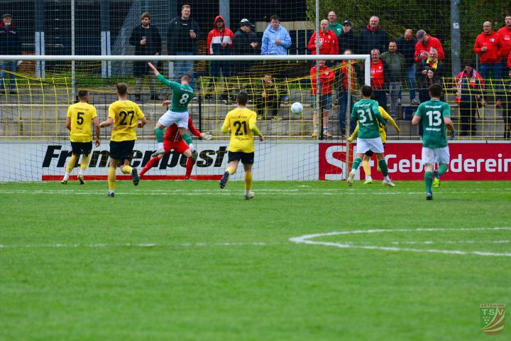 SpVgg Bayern Hof - TSV Abtswind 2:0 (0:0) |19.04.2025