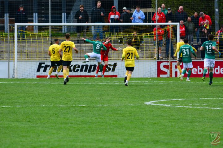 SpVgg Bayern Hof - TSV Abtswind 2:0 (0:0) |19.04.2025
