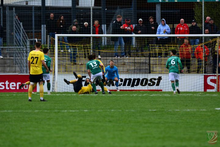 SpVgg Bayern Hof - TSV Abtswind 2:0 (0:0) |19.04.2025