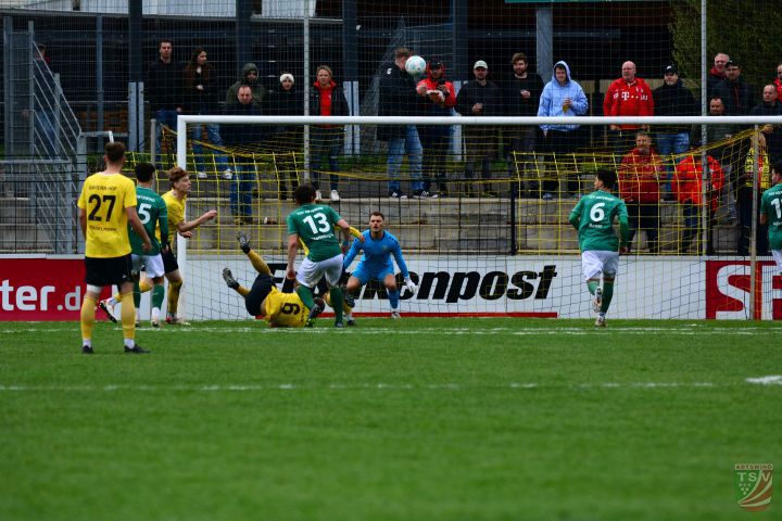 SpVgg Bayern Hof - TSV Abtswind 2:0 (0:0) |19.04.2025