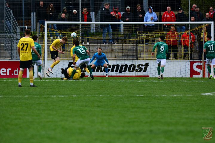 SpVgg Bayern Hof - TSV Abtswind 2:0 (0:0) |19.04.2025