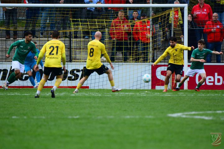 SpVgg Bayern Hof - TSV Abtswind 2:0 (0:0) |19.04.2025