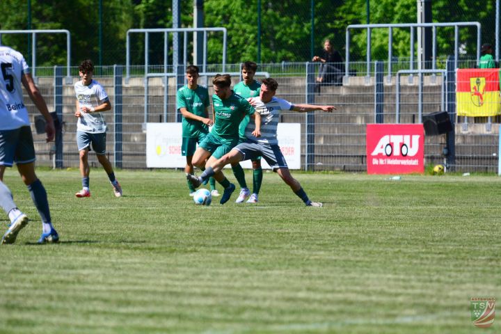 SpVgg SV Weiden - TSV Abtswind 1:0 (1:0) | 10.05.2025