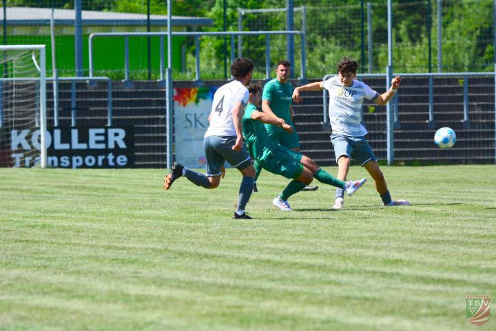 SpVgg SV Weiden - TSV Abtswind 1:0 (1:0) | 10.05.2025