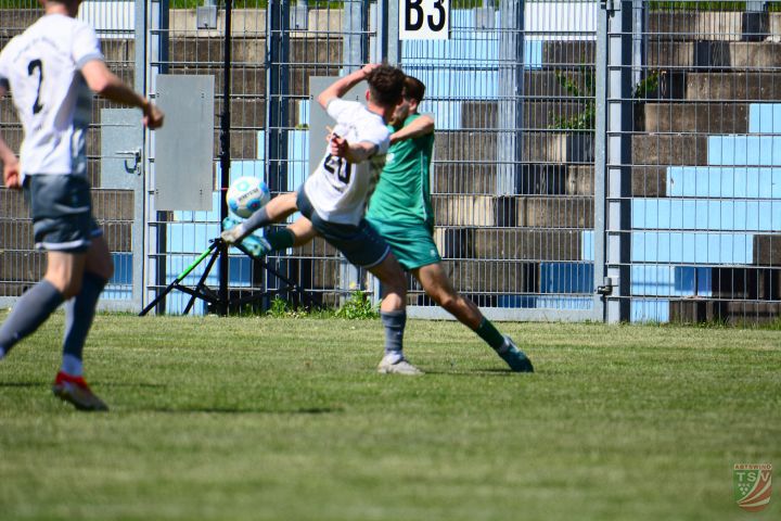 SpVgg SV Weiden - TSV Abtswind 1:0 (1:0) | 10.05.2025