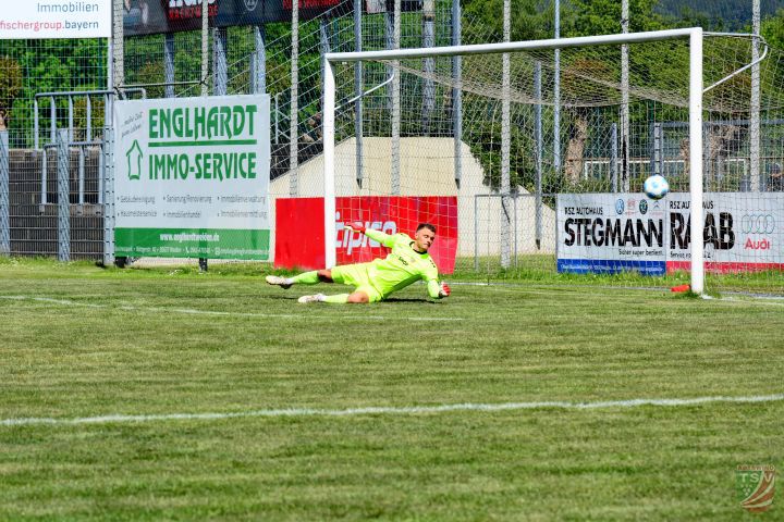 SpVgg SV Weiden - TSV Abtswind 1:0 (1:0) | 10.05.2025