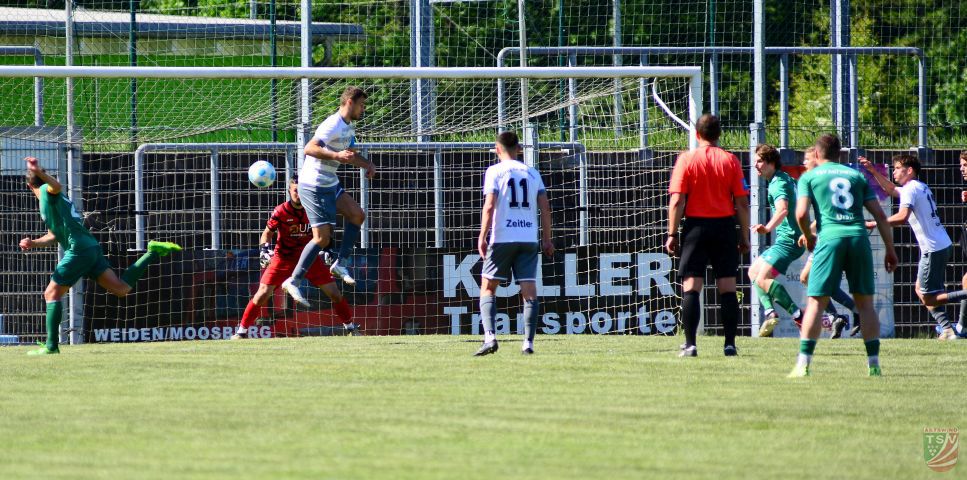 SpVgg SV Weiden - TSV Abtswind 1:0 (1:0) | 10.05.2025