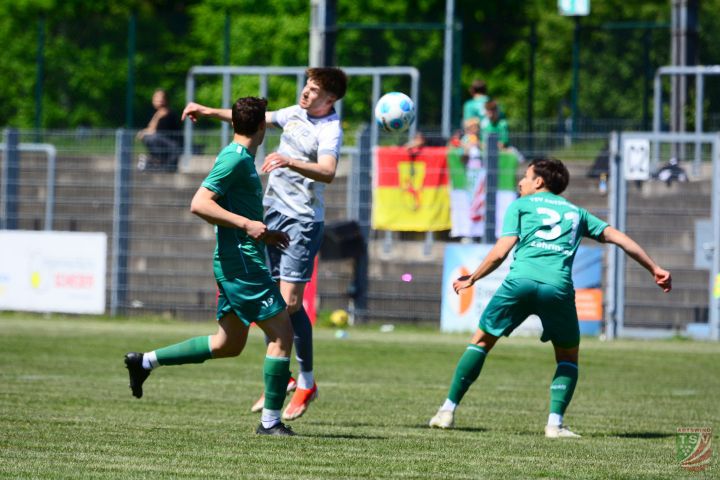 SpVgg SV Weiden - TSV Abtswind 1:0 (1:0) | 10.05.2025