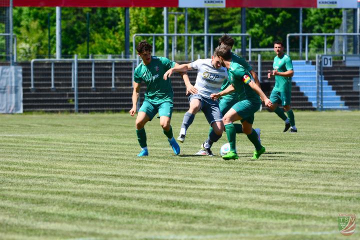 SpVgg SV Weiden - TSV Abtswind 1:0 (1:0) | 10.05.2025