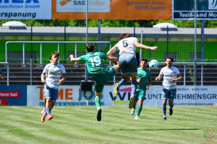 SpVgg SV Weiden - TSV Abtswind 1:0 (1:0) | 10.05.2025