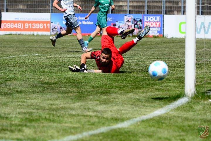 SpVgg SV Weiden - TSV Abtswind 1:0 (1:0) | 10.05.2025