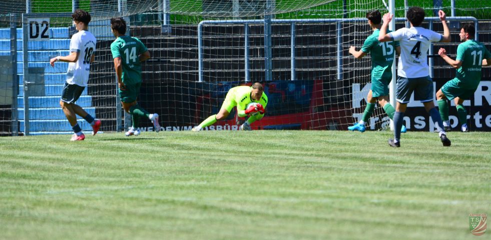 SpVgg SV Weiden - TSV Abtswind 1:0 (1:0) | 10.05.2025