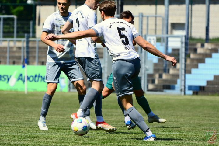 SpVgg SV Weiden - TSV Abtswind 1:0 (1:0) | 10.05.2025
