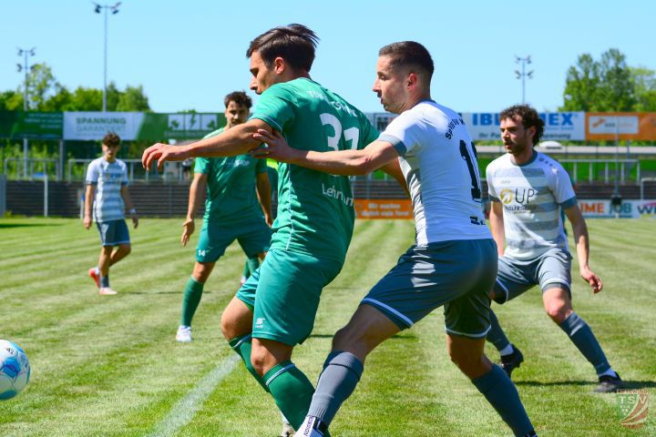 SpVgg SV Weiden - TSV Abtswind 1:0 (1:0) | 10.05.2025