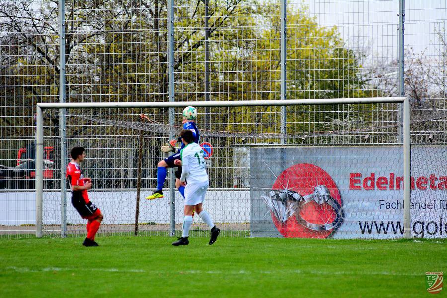ASV Neumarkt - TSV Abtswind 3:3 (1:2) | 13.04.2019