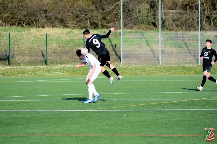TSV Abtswind - Bayern Hof 0:1 (0:0) | 09.03.2024