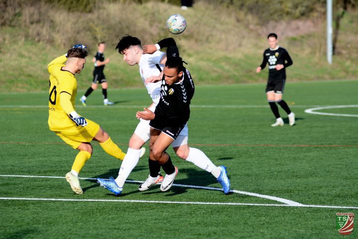 TSV Abtswind - Bayern Hof 0:1 (0:0) | 09.03.2024