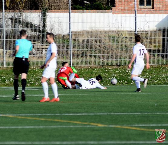TSV Abtswind - Bayern Hof 0:1 (0:0) | 09.03.2024