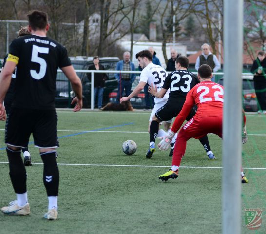TSV Abtswind - Bayern Hof 0:1 (0:0) | 09.03.2024