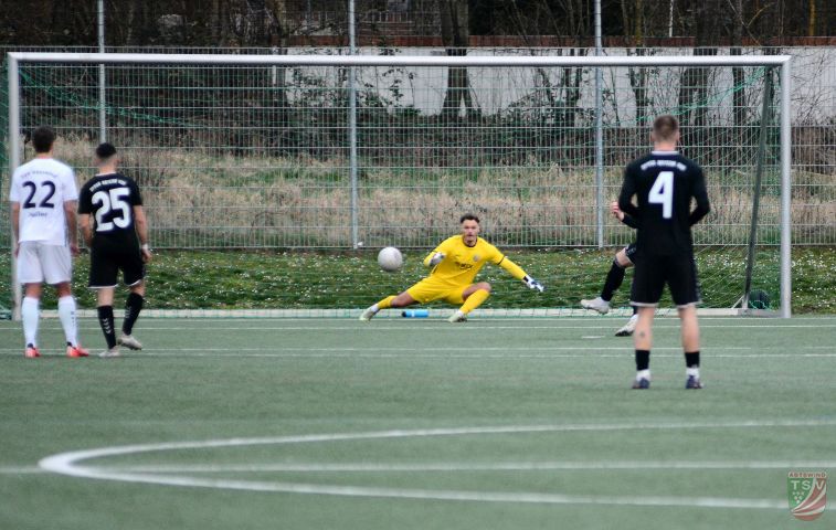 TSV Abtswind - Bayern Hof 0:1 (0:0) | 09.03.2024