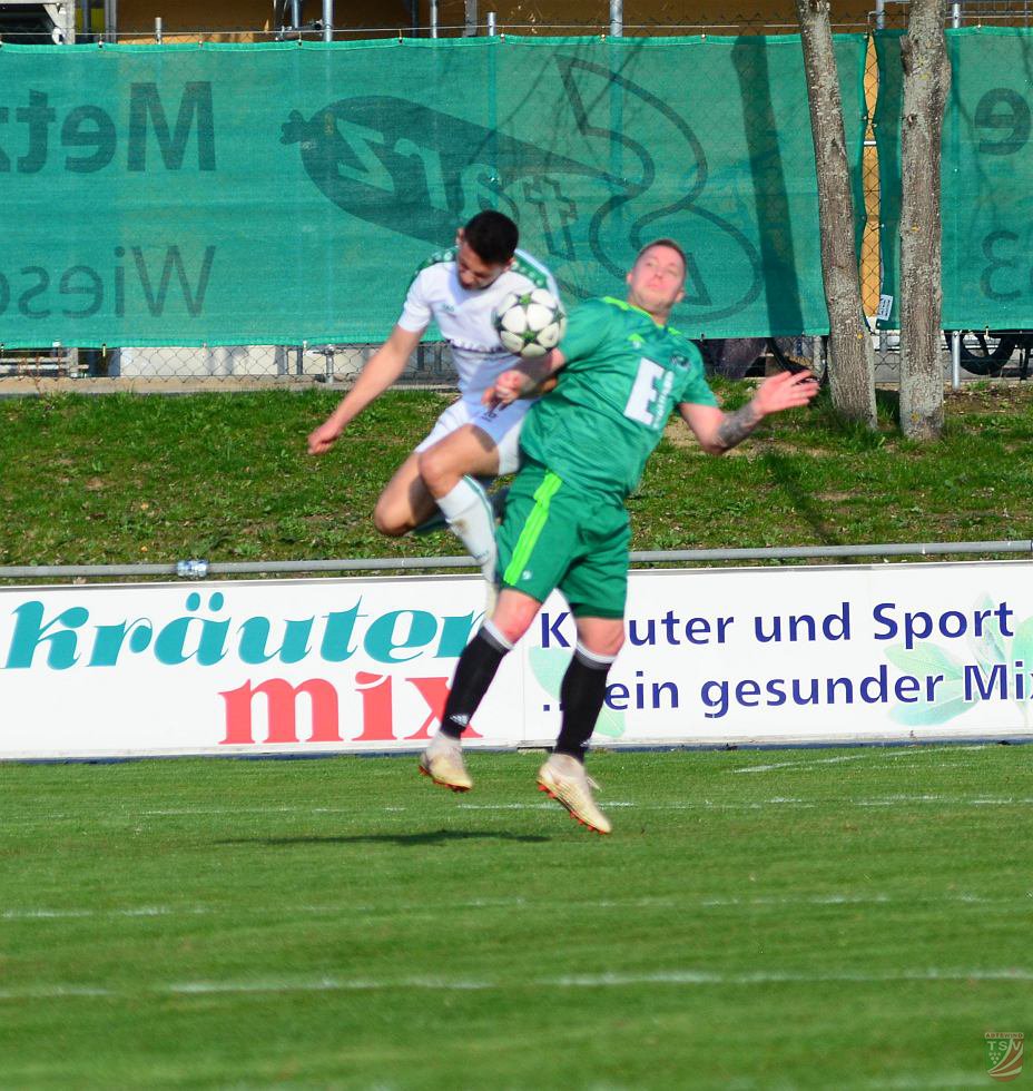 TSV Abtswind - DJK Ammenthal 1:0 (1:0) | 30.03.2019