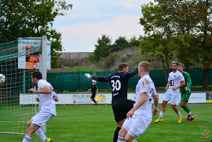 TSV Abtswind - DJK Ammerthal 1:1 (1:0) | 24.09.2022  	