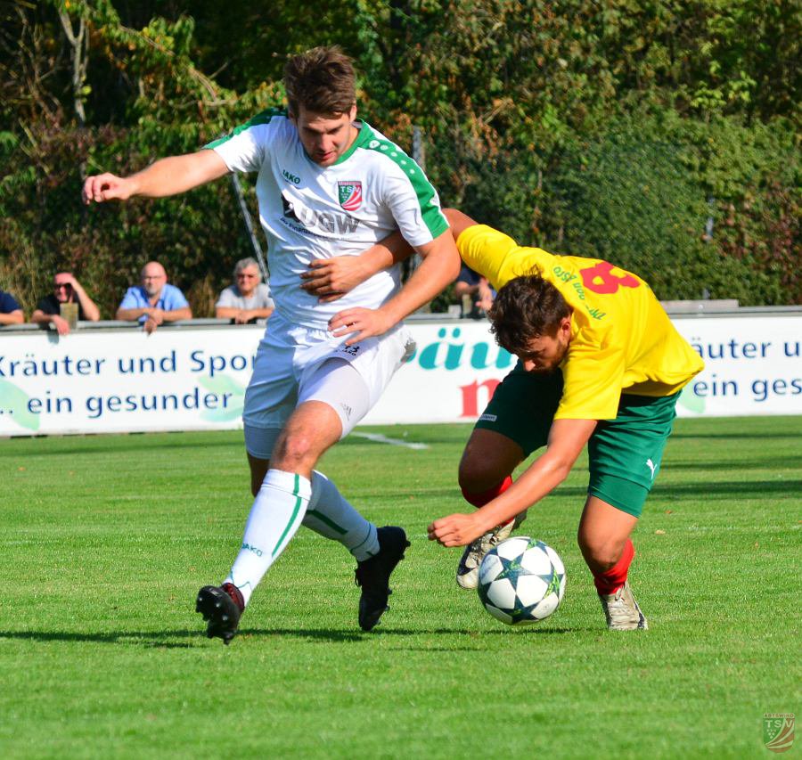 TSV Abtswind - DJK Don Bosco Bamberg 0:2 (0:0) 14.09.2019