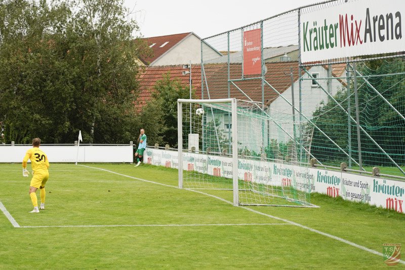 TSV Abtswind - FC Eintracht Bamberg 1:3 (0:1) _17.08.2019