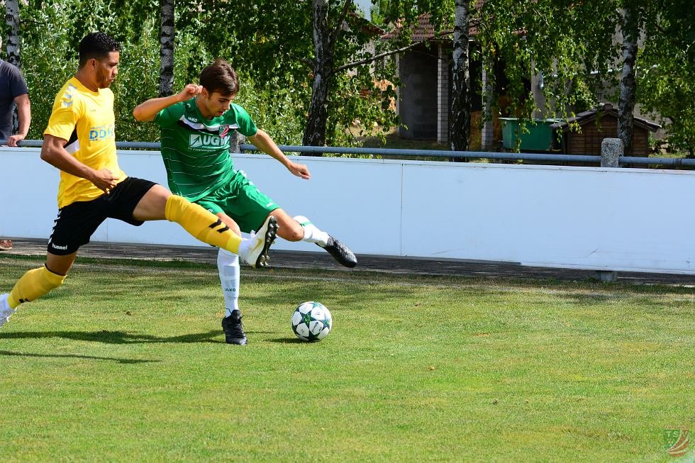 TSV Abtswind - SpVgg Bayern Hof 3:1 (1:1) | 11.08.2018