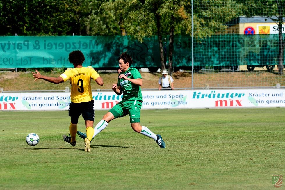TSV Abtswind - SpVgg Bayern Hof 3:1 (1:1) | 11.08.2018