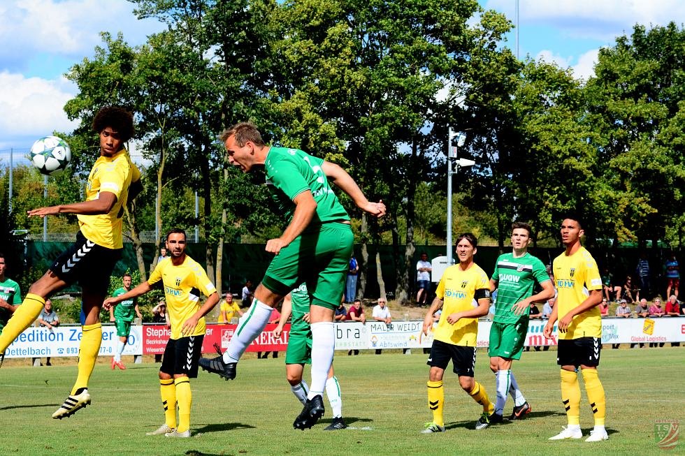 TSV Abtswind - SpVgg Bayern Hof 3:1 (1:1) | 11.08.2018