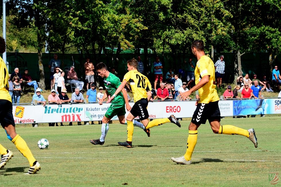 TSV Abtswind - SpVgg Bayern Hof 3:1 (1:1) | 11.08.2018