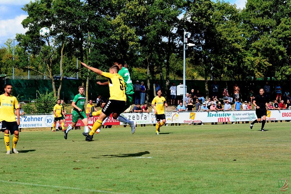 TSV Abtswind - SpVgg Bayern Hof 3:1 (1:1) | 11.08.2018