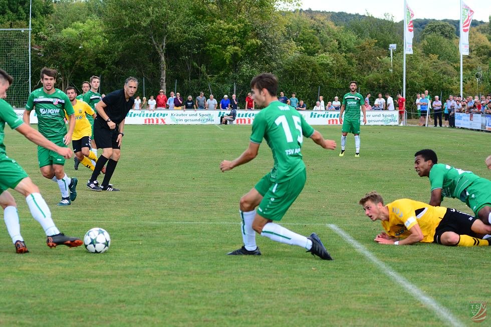 TSV Abtswind - SpVgg Bayern Hof 3:1 (1:1) | 11.08.2018