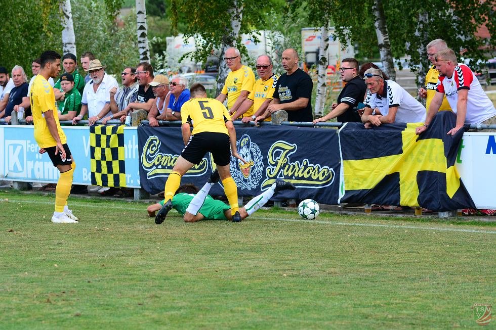 TSV Abtswind - SpVgg Bayern Hof 3:1 (1:1) | 11.08.2018