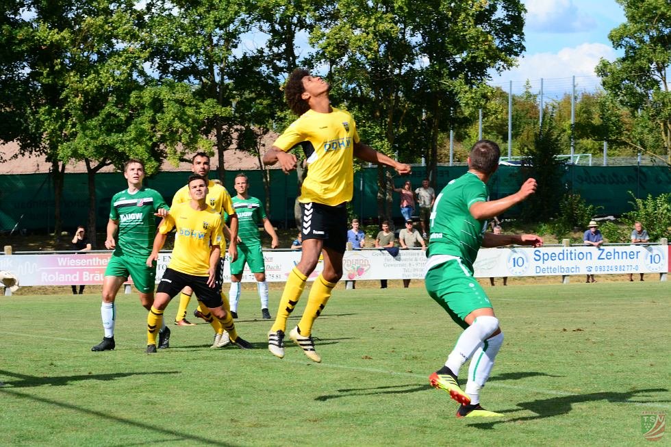 TSV Abtswind - SpVgg Bayern Hof 3:1 (1:1) | 11.08.2018