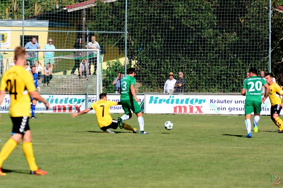 TSV Abtswind - SpVgg Bayern Hof 3:1 (1:1) | 11.08.2018