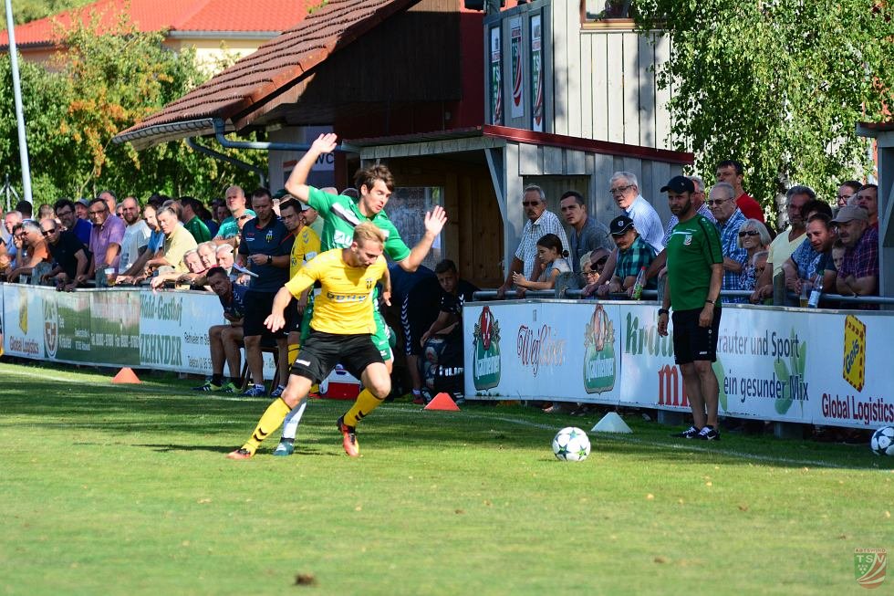 TSV Abtswind - SpVgg Bayern Hof 3:1 (1:1) | 11.08.2018