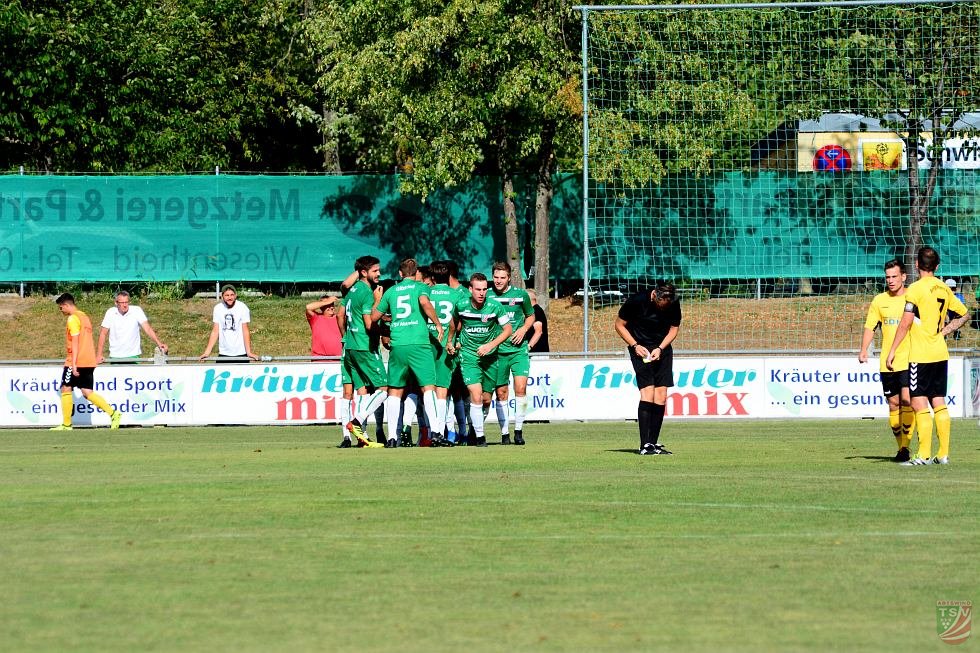 TSV Abtswind - SpVgg Bayern Hof 3:1 (1:1) | 11.08.2018