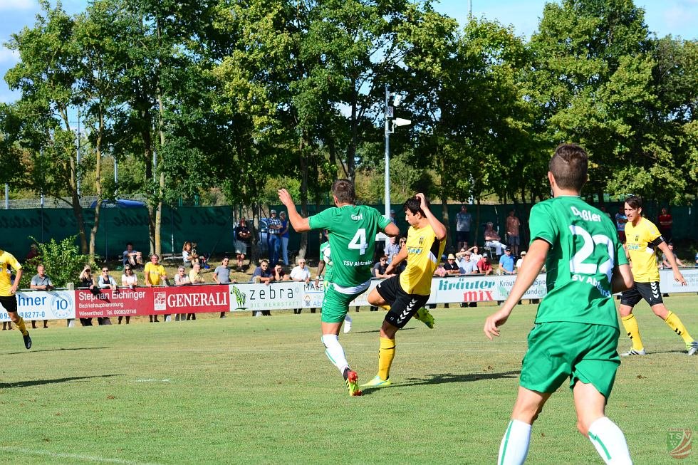 TSV Abtswind - SpVgg Bayern Hof 3:1 (1:1) | 11.08.2018