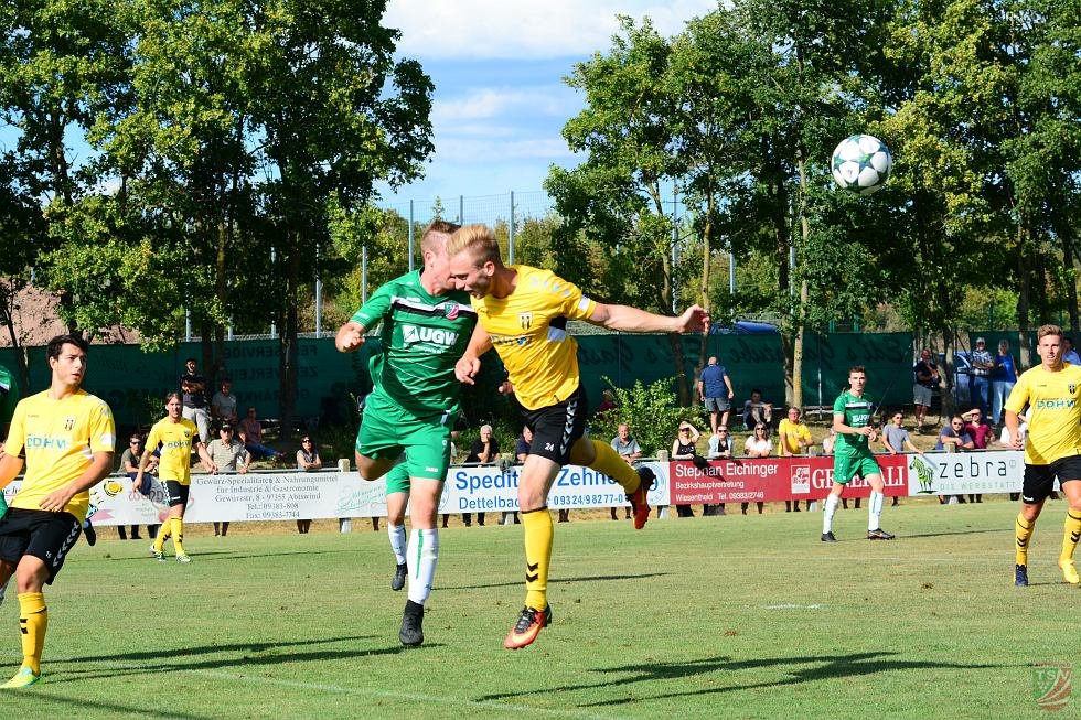 TSV Abtswind - SpVgg Bayern Hof 3:1 (1:1) | 11.08.2018
