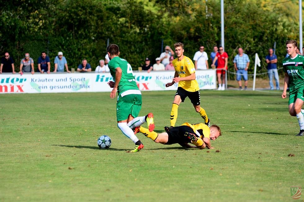 TSV Abtswind - SpVgg Bayern Hof 3:1 (1:1) | 11.08.2018