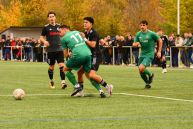 TSV Abtswind - SV Fortuna Regensburg  2:0 (1:0) | 02.11.2024